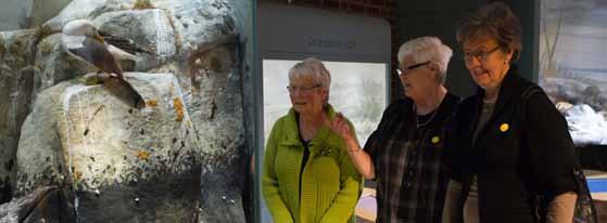 Torsdag 11 april kl 15 till 16 Natur i Sverige Guidning av utställningen på Naturhistoriska museet.