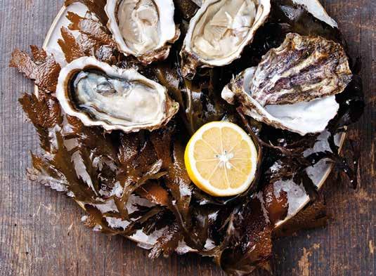 fisk & skaldjur ostron från franska kusten Ostronet är tvåkönat, det börjar sitt liv som