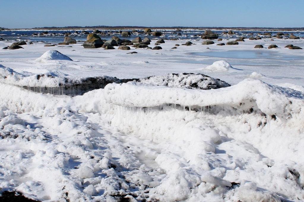 Naturfototipset Gå närmare! Ett nybörjarfel som är vanligt förekommande är att man inte går tillräckligt nära.