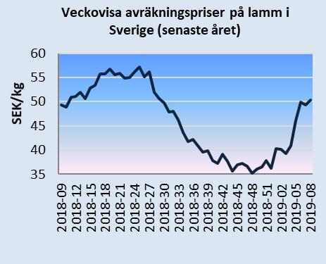 Det genomsnittliga avräkningspriset för slaktkroppar av tunga lamm (mer än 13 kg) inom EU har varit stabilt under inledningen av året.