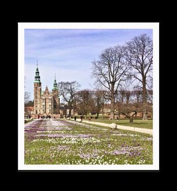 Det finns ett stort utbud av restauranger, museer, butiker och konserter.