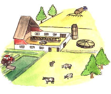 Modellera animalieproduktionen med ett top-down perspektiv Modellera systemen med ett bottom-up perspektiv, d v s samla in data och göra LCA för ett antal gårdar/företag Input resurser Energi
