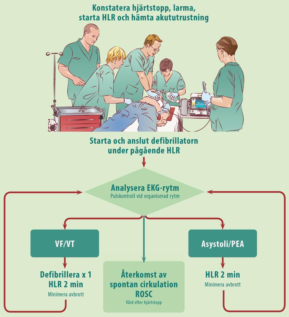 5 A-HLR, VUXEN OBS!