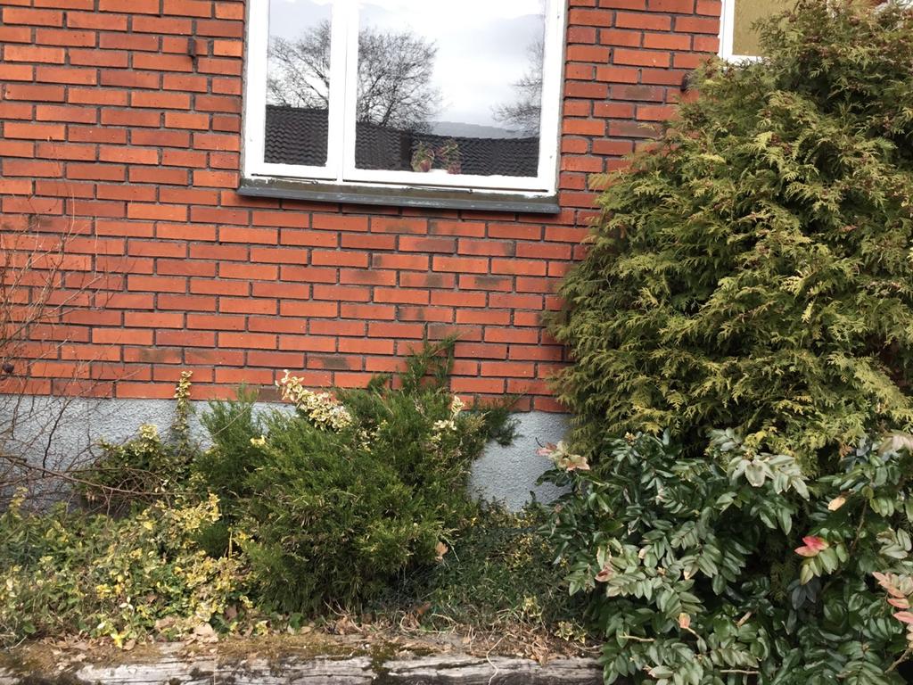 Detta påverkar byggnaden och inomhusmiljön negativt och kan orsaka avvikande lukt. Utvändigt Markförhållanden Växter/rabatter intill grundmur/fasad.