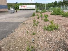 Namn Beskrivning Instrument Bild MP1 Vibrationsmätning på grundmur i vertikal rikning; belägen på östra planområdesgränsen,