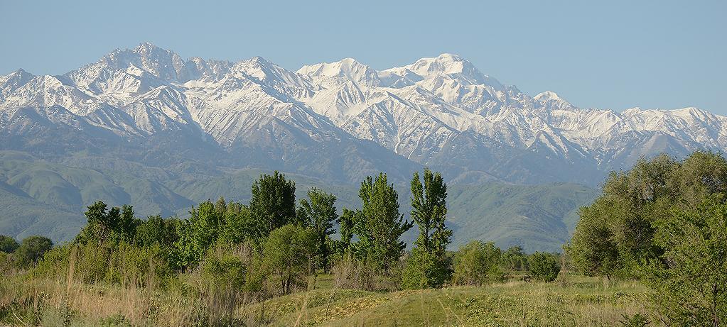 Kazakstan 11 25 maj 2019 med Magnus Hellström Tien Shan. Foto: Anders Blomdahl Varmt välkommen på AviFaunas resa till Kazakstan!