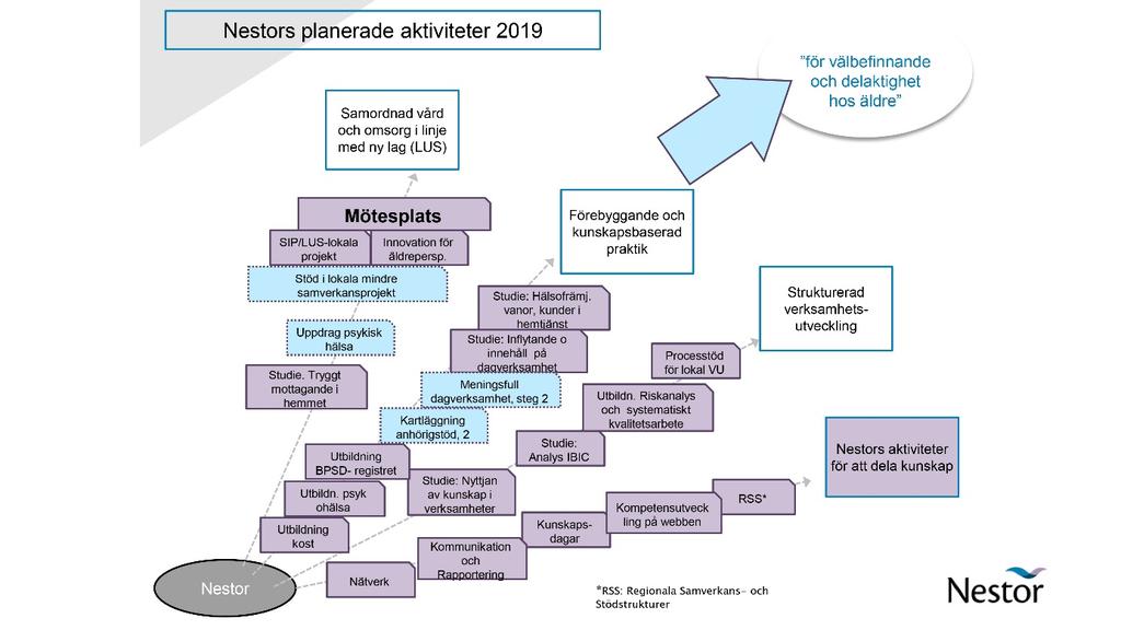 Nestor arbetar för en förebyggande och kunskapsbaserad praktik utifrån Folkhälsomyndighetens fyra rekommenderade områden: social gemenskap och stöd, meningsfullhet, fysisk aktivitet och goda matvanor.