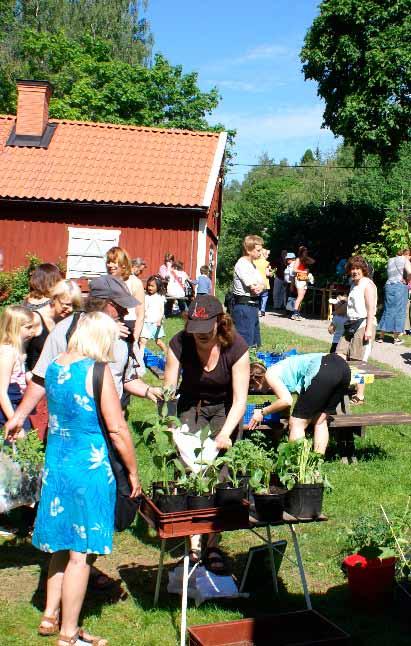 Israelsson Kurser Pilflätning och betonggjutning Trädgårdsträffar Vandring