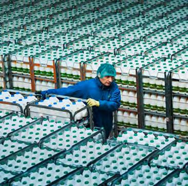 från Sverige och Danmark. Det låter enkelt, men före Calcium var produktutvecklingen landspecifik.