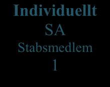 Johan Midenby 2018-02-26 Sida 26 av 47 2.2.5 Team SA Enligt Mica Endsley har varje teammedlem (stabsmedlem) ett specifikt ansvar för sitt område av SA.