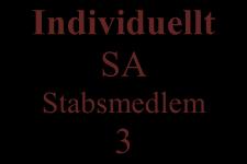 Dels det individuella SA som behövs för att utföra den specifika uppgiften inom teamet.