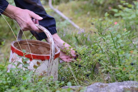 Klimatförändringarna Göteborgsregionen (GR) behöver definiera sin roll i omställningsarbetet och i den gemensamma kraftsamlingen i Västra Götaland, Klimat 2030.
