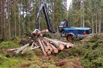 REDOGÖRELSE FRÅN SKOGFORSK NR.