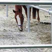 Användningsområden Ridbanor och ridhallar Paddockar och fållor Lösdriftsstall