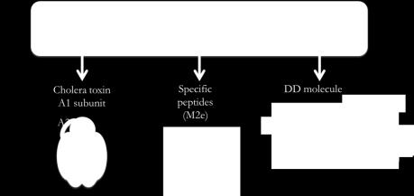 2e-DD and other fusion proteins into nanoparticles using the liposome or polysaccharide technologies. 1.3.