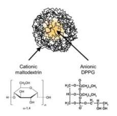 Figure 13. Representation of NPL. The chemical formula of maltodextrin and DPPG are reported. The safety of the NP+ has been previously investigated.