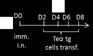 Figure 24. Adoptive transfer protocol.