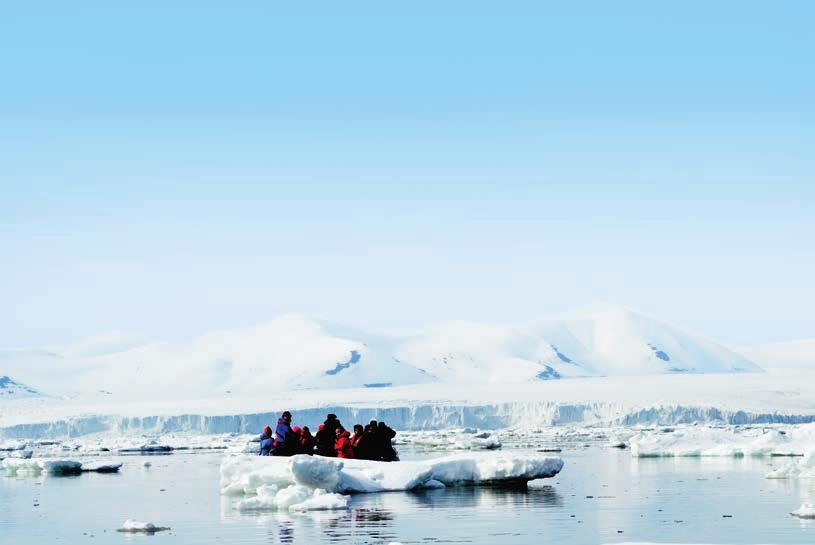 vid sidan av den isblåskiftande glaciären häckar spetsbergsgrisslor och tretåig mås.