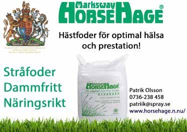 L 0/- /0,g 0 0' Ax Wester Lars (And TB) And TB År /-0 /0 ' H.B.PARTY 0:, AK Tot: --.00,br.v.e Victory Party - : 0-0-0,a.000 : 0-0-0,a.