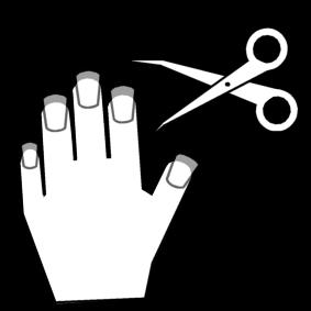 Sclera Papunets net, Sclera 16
