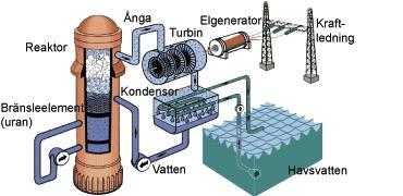 Så produceras el i en kokvattenreaktor Grundfunktionen är enkel: man använder kärnenergi för att producera ånga. Ångan driver turbinen som i sin tur driver en generator som alstrar elektricitet.