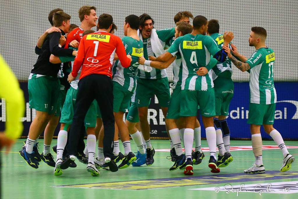 Vår verksamhet Herrlaget Hammarby bedriver herrelithandboll med målet att nå resultatmässiga och sportsliga framgångar för att underhålla handbollspubliken och inspirera ungdomar till att satsa