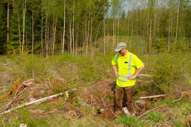 De två husgrunder som påträffades var i stort sett identiska. De är kallmurade, kvadratiska och delvis under marknivån. Till sina karaktärer liknar de två lämningarna grunder efter källare.