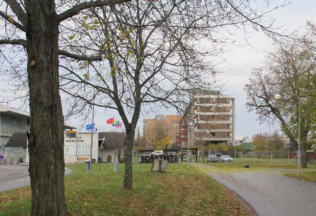 Grönska, park och natur, klass, utblick, sällskapslek, djurhållning och artrikedom är vad som karaktäriserar sociotoperna närmast planområdet.