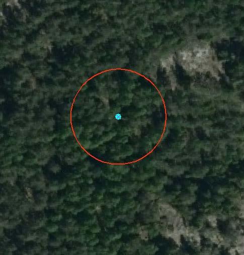 Skogen i området är heterogen med renare barr resp.