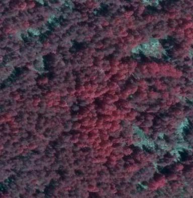 Se ortofoto från olika tidpunkter och IR: Överst Orto år 2013