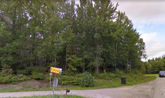 Triviallövskog 3:e Ja Aspdominerad skog med inslag av gran, tall, sälg och ek.
