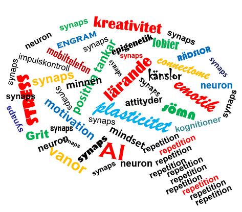 Hjärnan och skolan Något om Neuroforums idéer för framtidens skola Version 2, januari 2019.