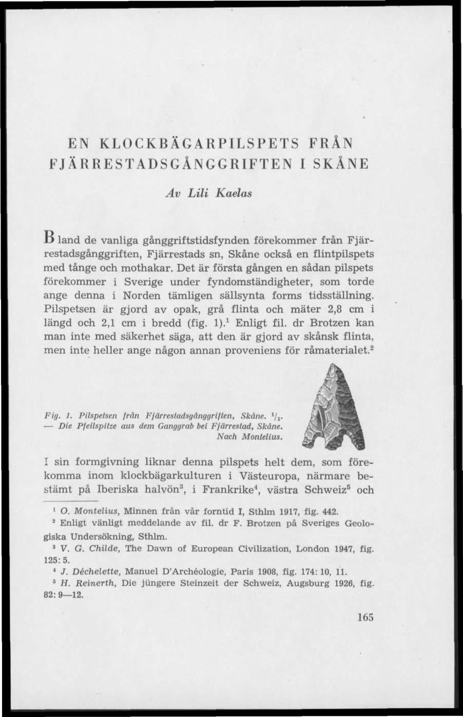 EN KLOCKBÄGARPILSPETS FRÅN FJÄRRESTADSGÅNGGRIFTEN I SKÅNE Av Lili Kaelas.