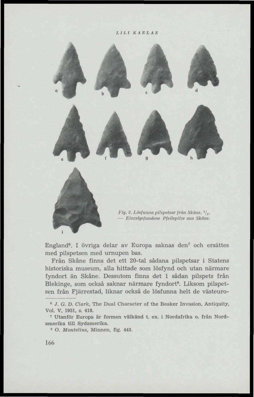 A X. T 7, 7 KAELAS Fig. 2. Lösfunna pilspetsar frän Skåne. 1 f 1. Einzelgefundene Pfeilspitze aus Skåne. England 6. I övriga delar av Europa saknas den 7 och ersattes med pilspetsen med urnupen bas.