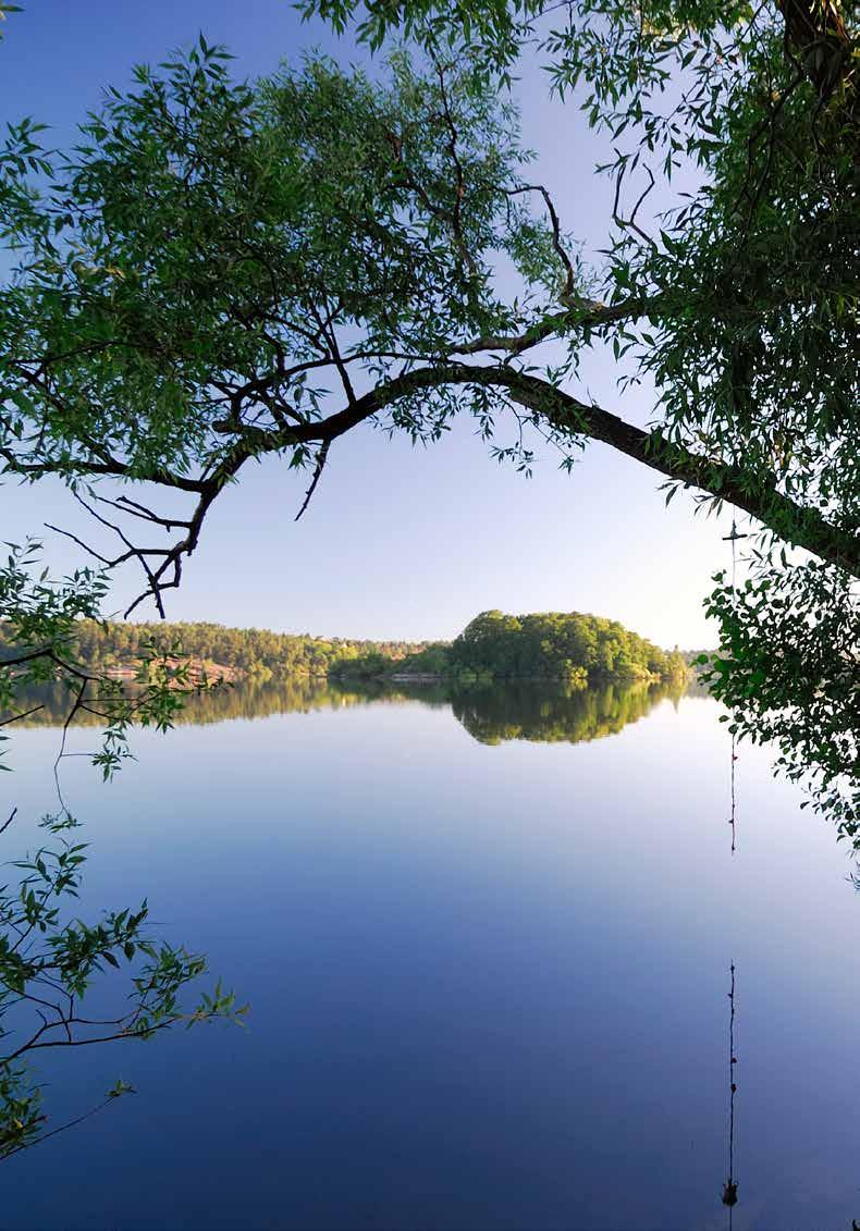 Kollektiv Olycksfallsförsäkring