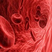 Medlemmar i Swedish Medtech står för ca 50% av nettoomsättningen hos den svenska medicinteknikbranschen.