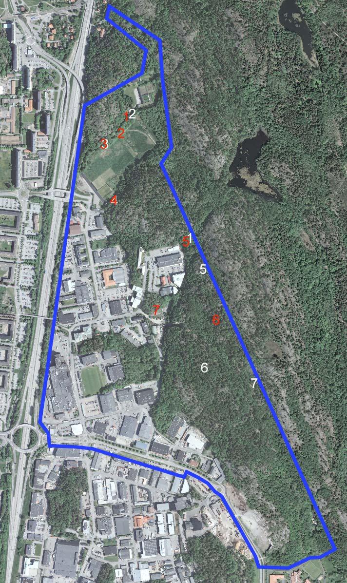Inventeringsområdet, ungefärligt avgränsat med blå linje.
