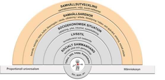 2.3 Faktorer som påverkar hälsa Hur vi mår och upplever vår hälsa påverkas av en mängd faktorer som ofta sammanfattas som hälsans bestämningsfaktorer.