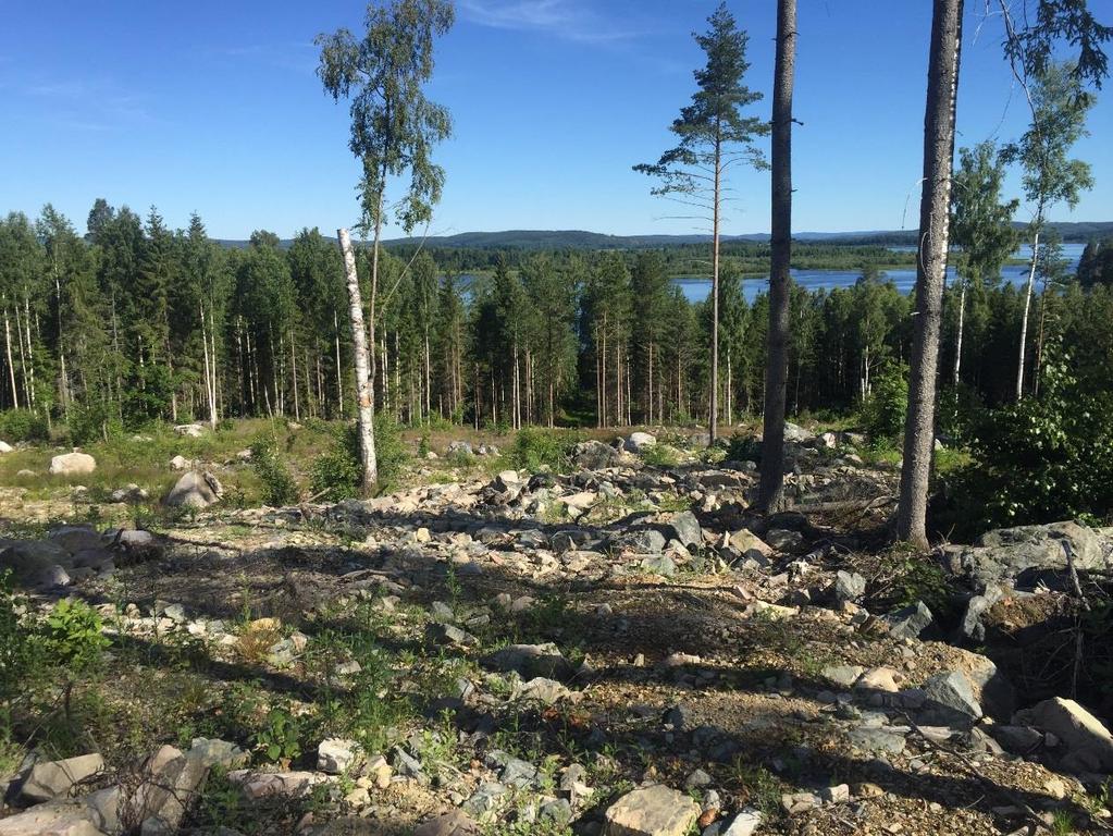 Underlag Inför besiktningen har följande underlag använts: Jordartskarta från SGU Planbeskrivning Del av Rensbo 1:30, Hedemora Kommun, daterad 2017-02-06.