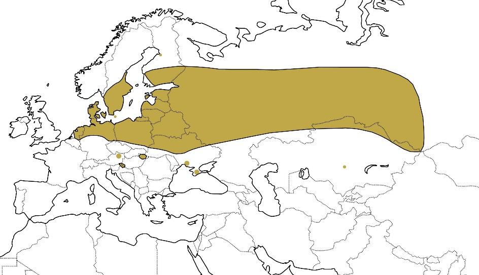 To the left observations of Aeshna viridis (red dots) and Stratiotes aloides (grey dots) reported to the Swedish Observation System (www.artportalen.se). Observation range 2000 2017.