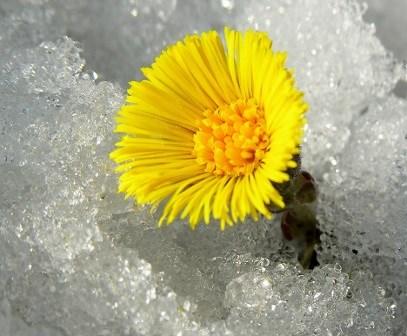 PASTORN HAR ORDET... ATT SE LIVET FÖR VAD DET ÄR OCH INTE VAD DET BORDE VARA. I skrivande stund är våren i antågande. Snön smälter sakta men säkert. Saker som gömts i snö kommer fram i tö.