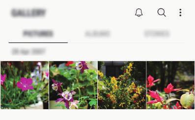 Appar och funktioner Galleri Inledning Visa bilder och videor som är lagrade på