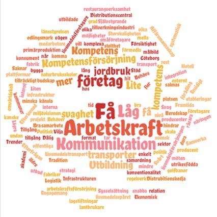 Möjligheter SWOT VGR