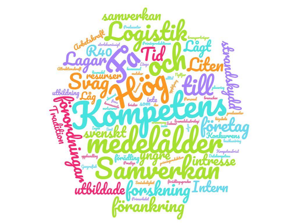 till en gemensam SWOT Träff 2 Styrkor