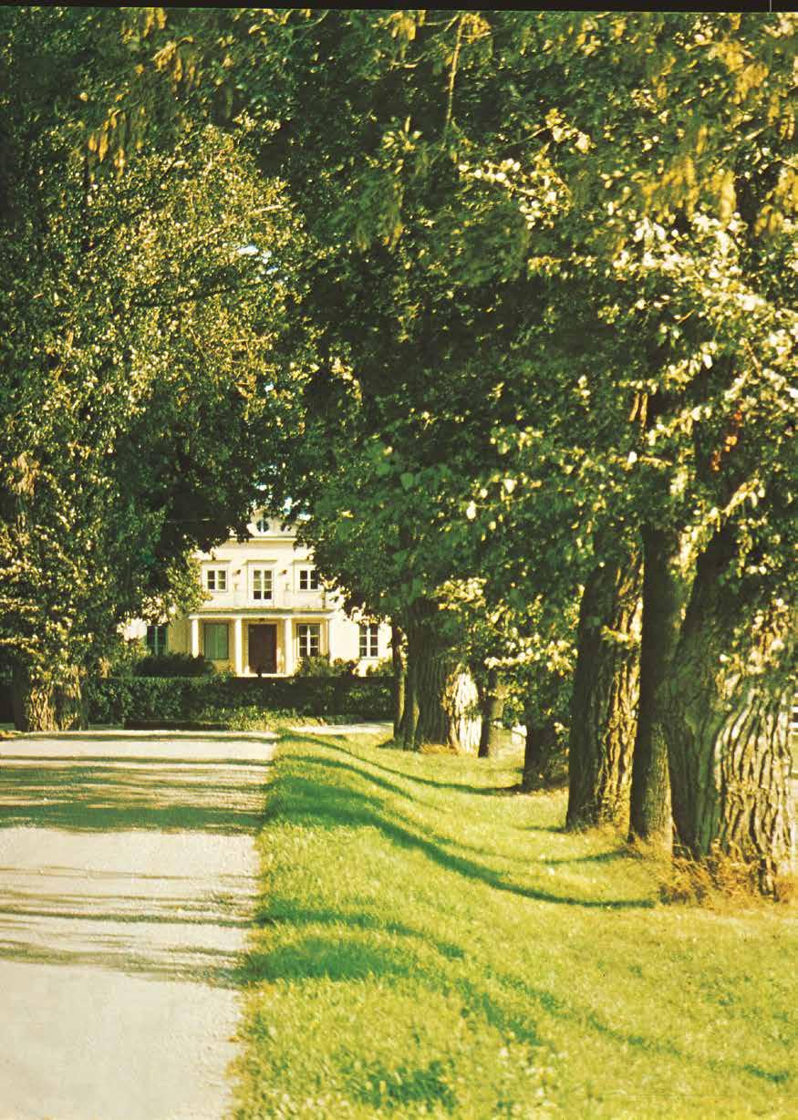 MENHAMMAR