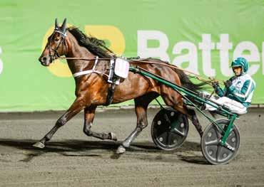 DARLING DAUGHTER Sto 12/2 e. Maharajah Jeune Fille e. Express Ride Countessa Jeune Fille, 1.12,7a 550.150 kr, är mor till Stud Muffin, *1.12,3a 613.939 kr, Rosy Cheeks, sto, 1.13,2am 316.