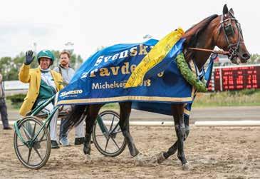 DE LUXE Hingst 10/5 e. One too Many Qualite Speciale e. Varenne Nouveau Riche Qualite Speciale är första sto i aveln efter framgångsrika Nouveau Riche, *1.11,8a 946.500 kr, 18 st: 9-5-0.
