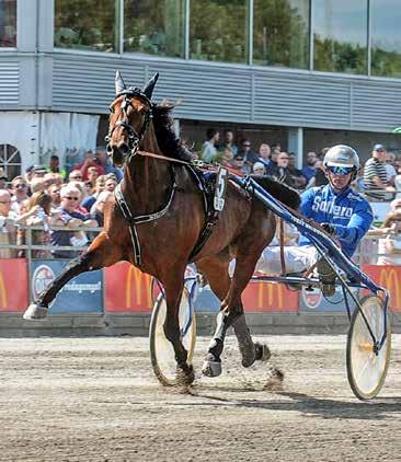 DARTBOARD Hingst 6/6 e. Maharajah Target Hoss e. Muscles Yankee Celebration Ride Target Hoss, *1.12,7am 5.027.