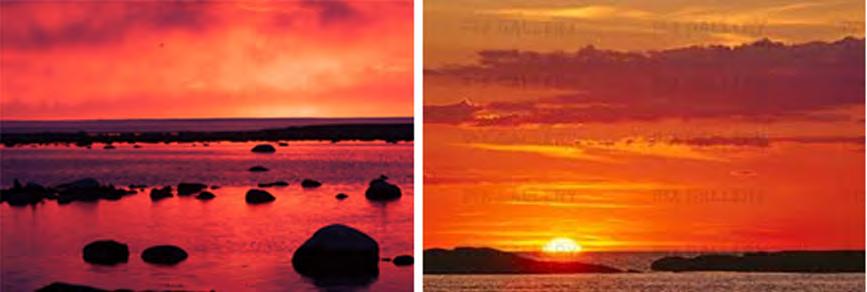 Rogivande Återhämtande miljö