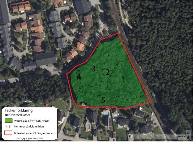2017-08-31 s 15 (38) domineras av blåbärsris i fältskiktet (delområde 3 och 5). Skogen är relativt ung och ett stort inslag av lövträd finns i området.